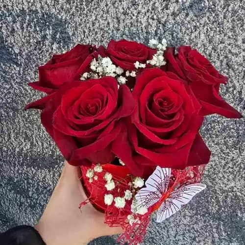 rozi