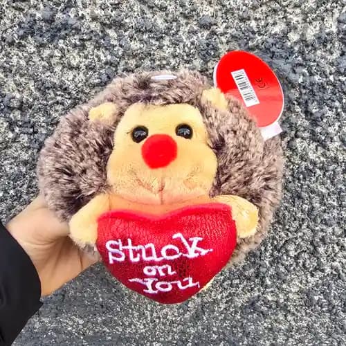 плюшено таралежче