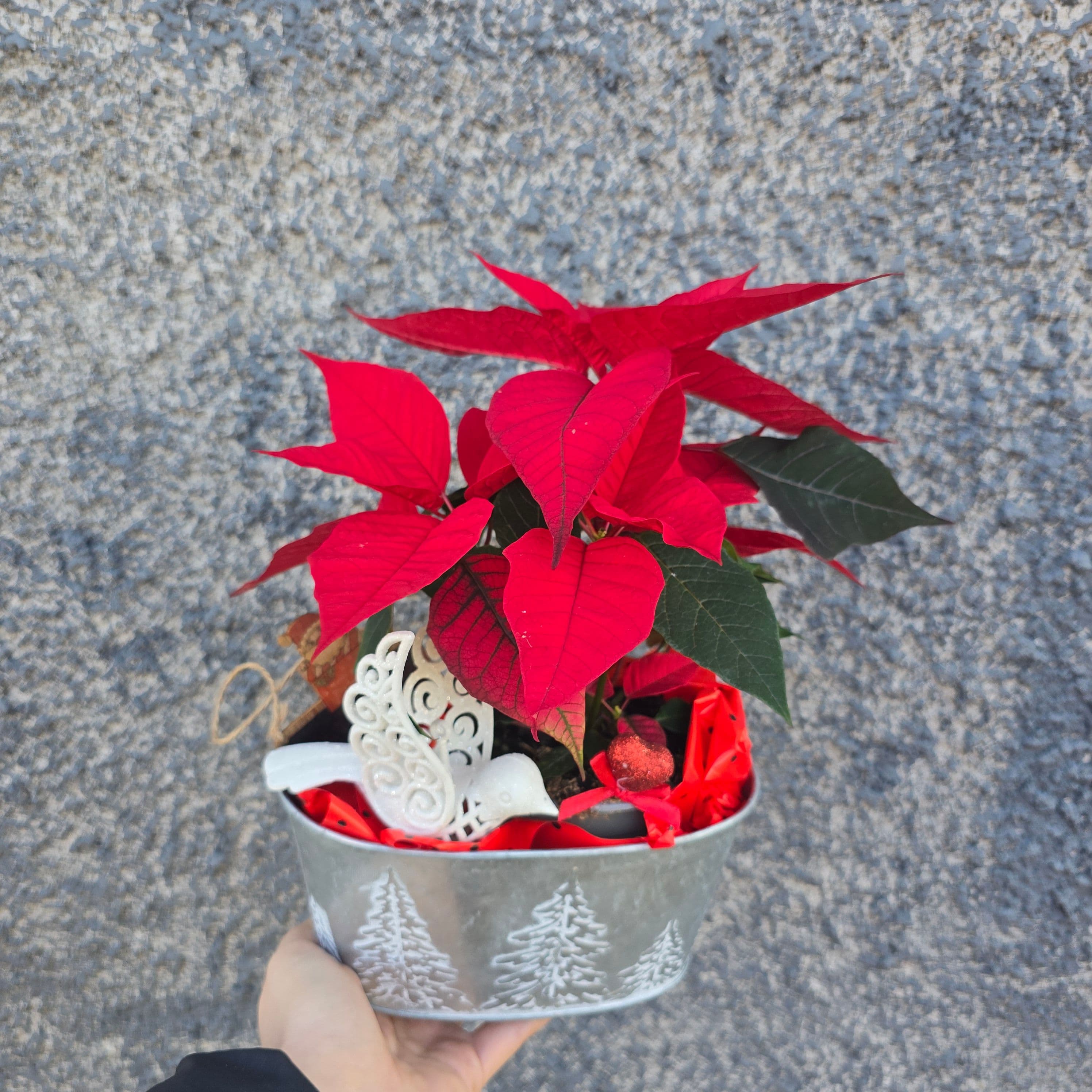 Декорация с коледна звезда